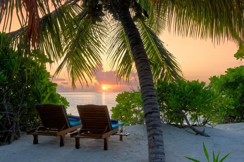 Canareef Resort Maldives, Atoli Addu — Maldive — foto 7 nga 11