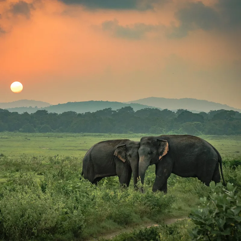Sri Lanka