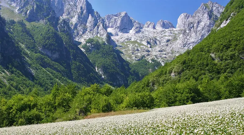 Lepushë, Plavë dhe Guci — Lepushë, Plavë, Guci — foto 6 nga 6
