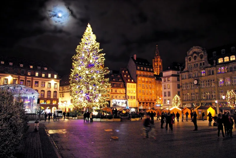 Cerise Strasbourg, Strasbourg