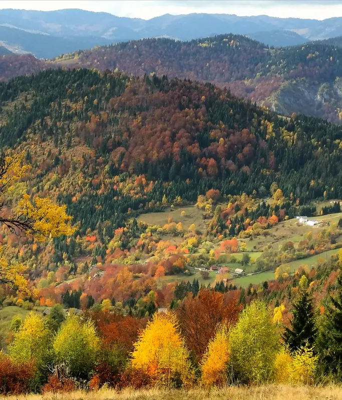 Maja e Licit, Rugovë