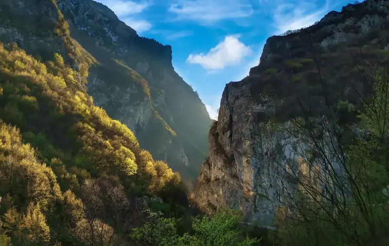 Prishtinë, Pejë, Gjakovë dhe Prekaz