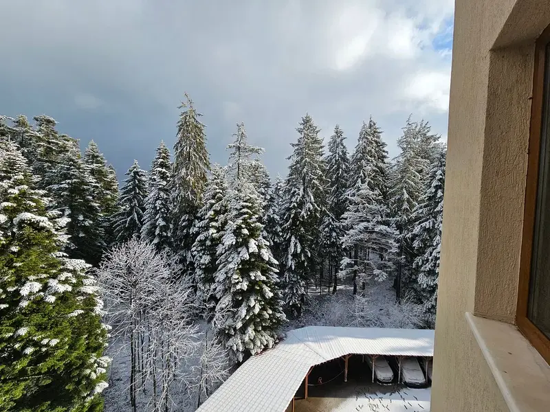 Iceberg Hotel 4, Borovets — Borovets, Bullgari — foto 8 nga 10