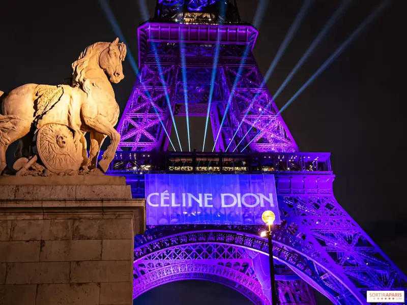 Celine Dion live në Paris