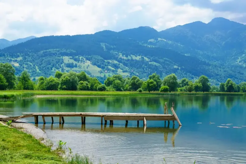 Lepushë, Plavë dhe Guci