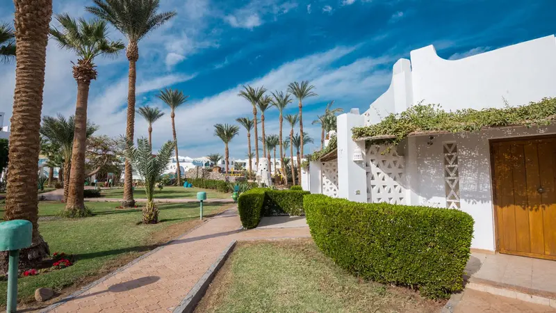 Shams Safaga Resort, Safaga — Safaga, Egjipt (Deti i Kuq) — foto 5 nga 11