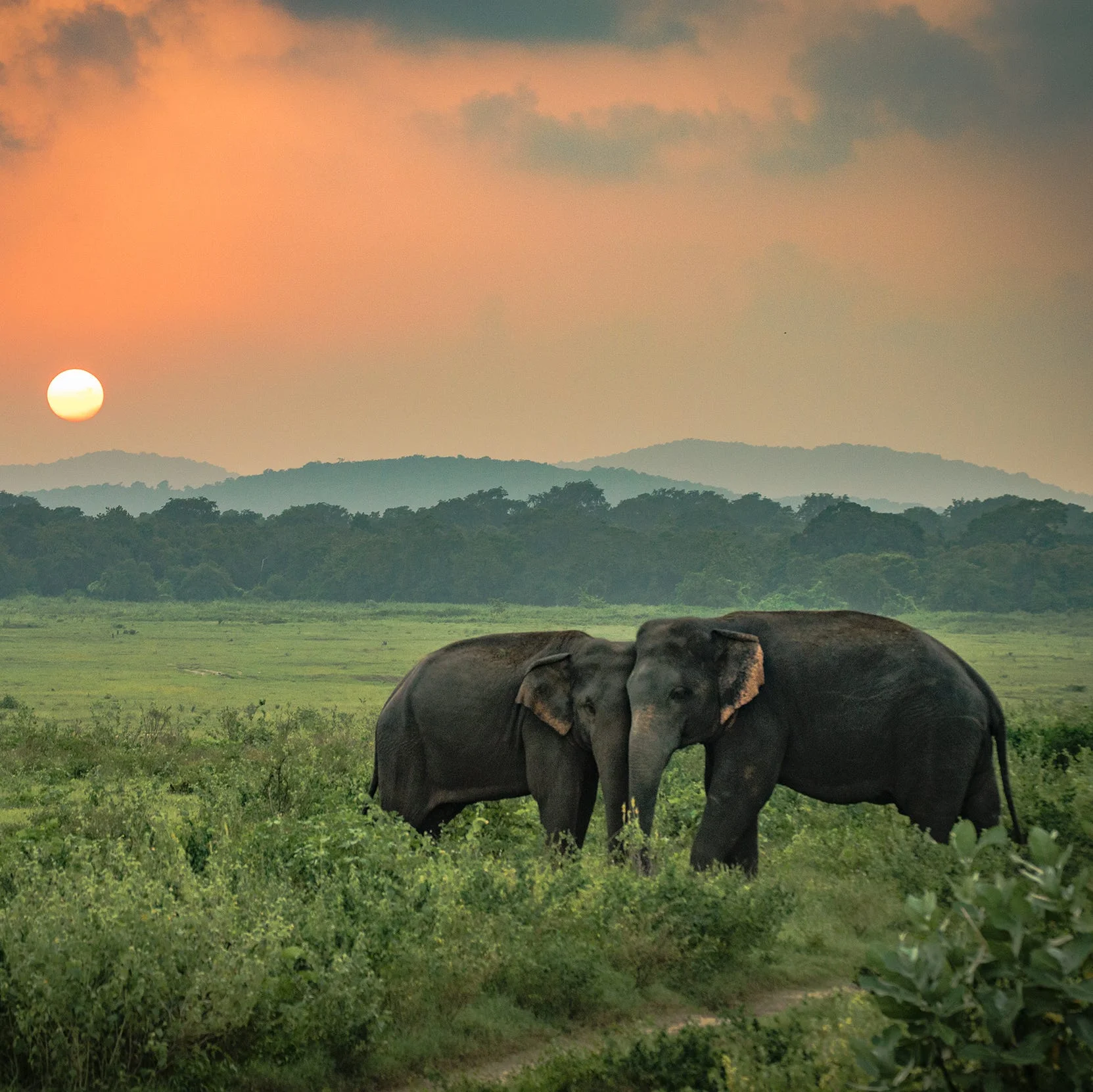 Sri Lanka