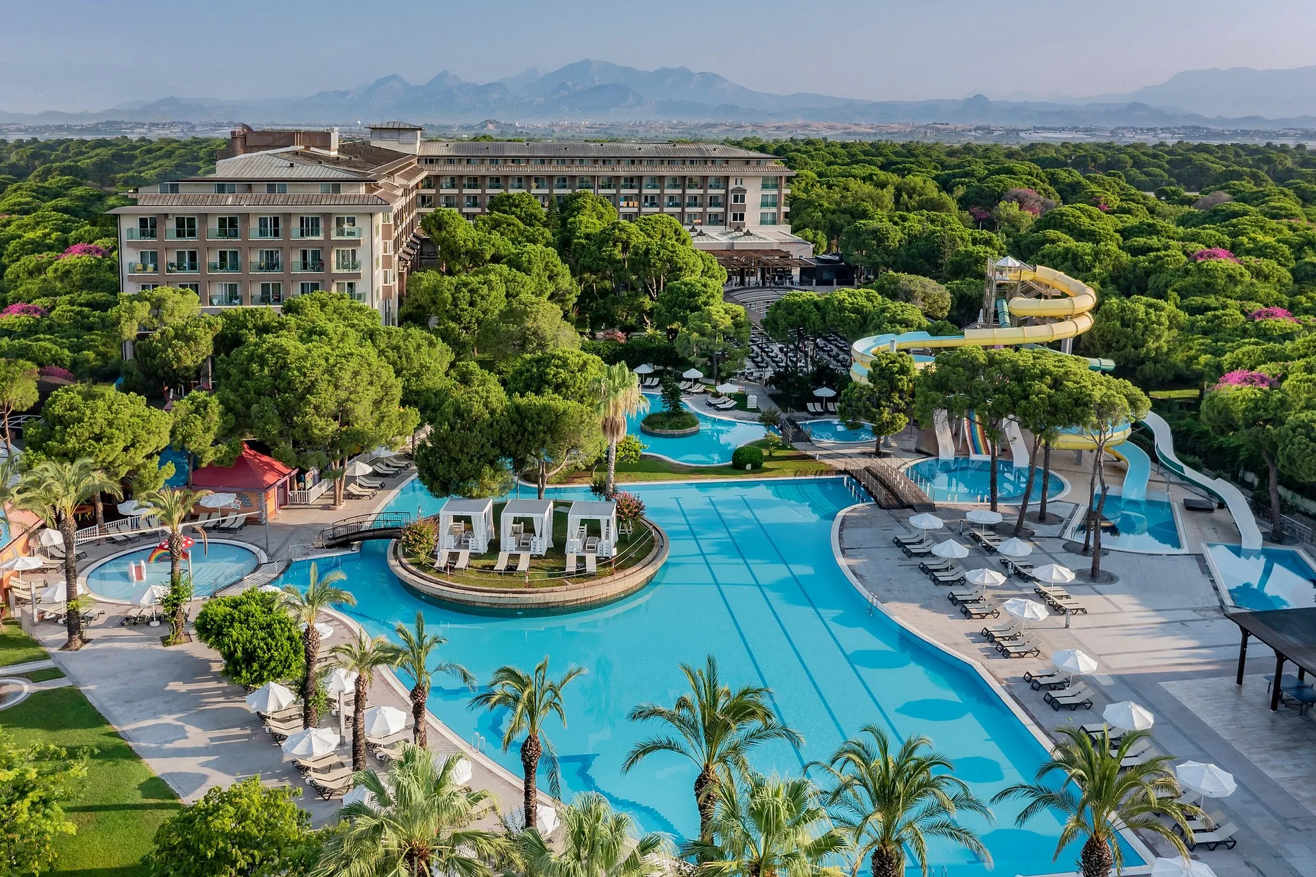 Papillon Ayscha, Belek