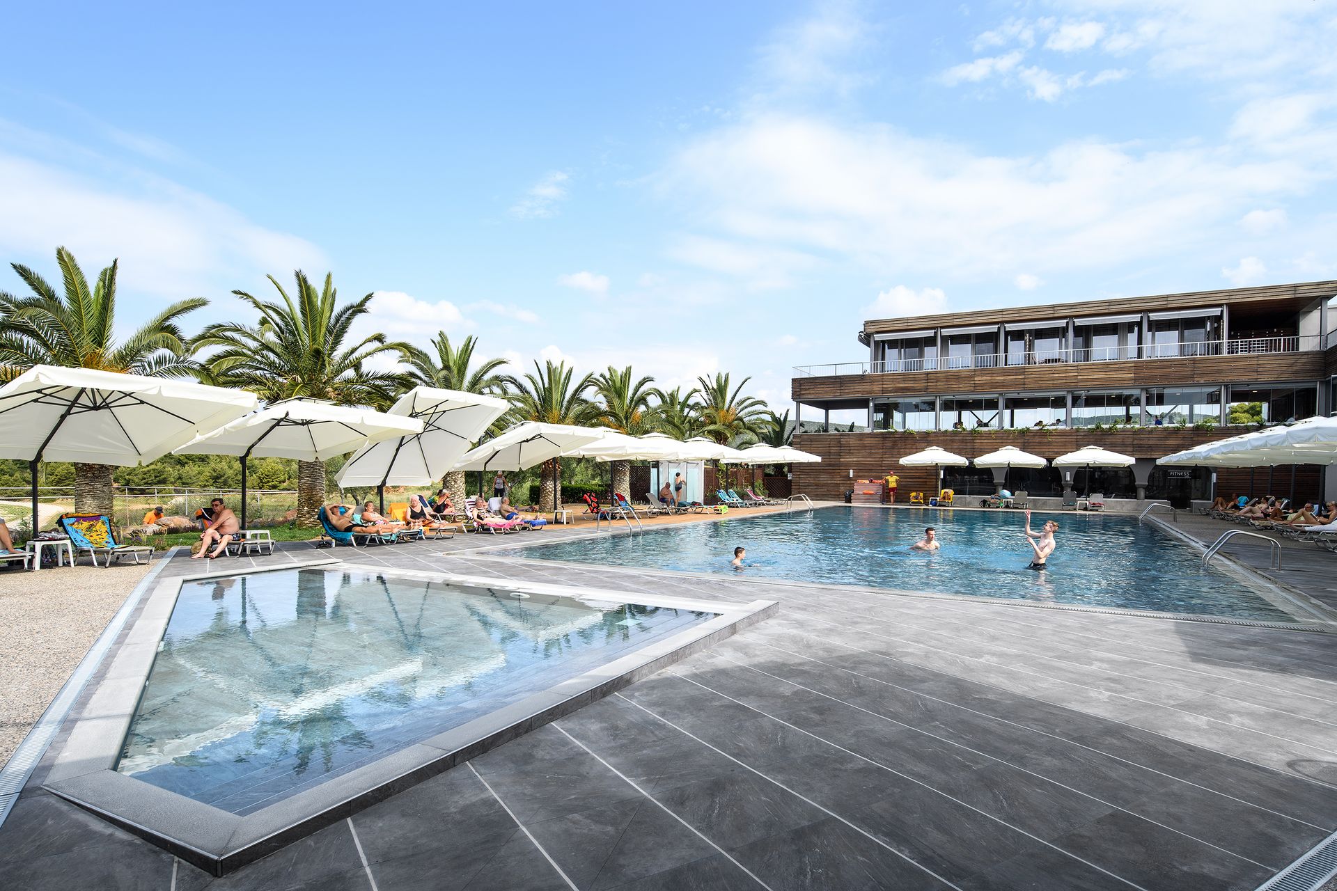 Blue Dolphin Beach Hotel 4*, Halkidiki