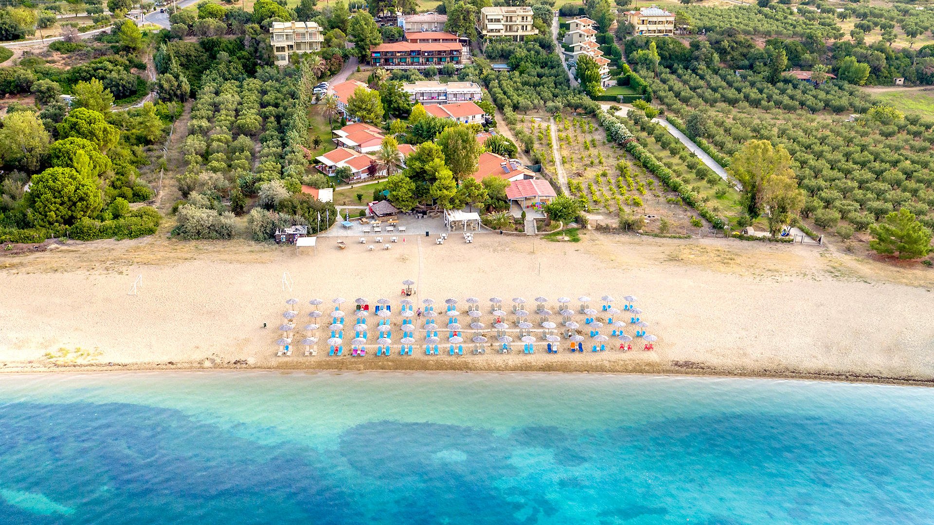 Halkidiki - Coral Blue Beach (Last Minute)