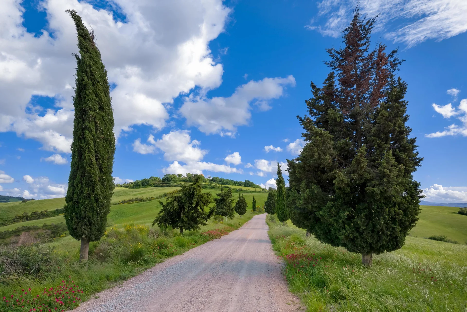 Toskana, Itali