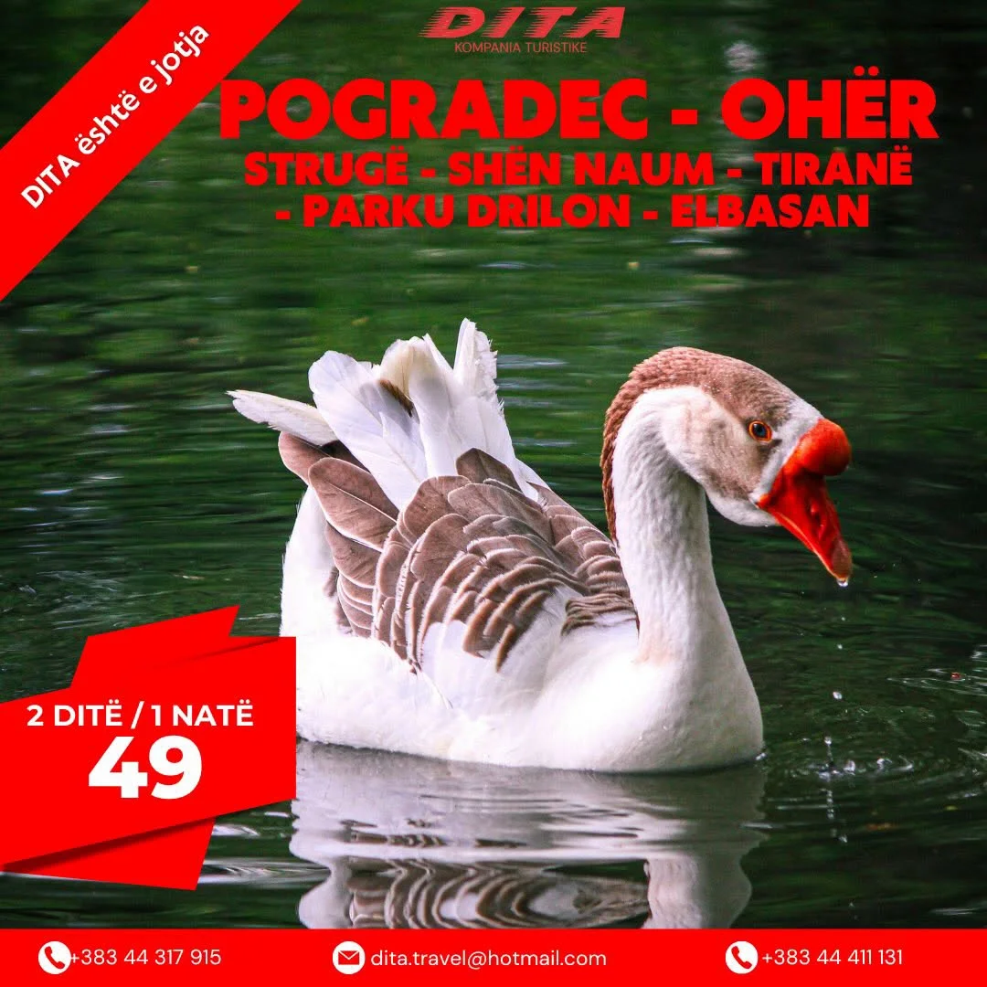 Hotel British, Pogradec — Pogradec, Shqipëri — foto 6 nga 9