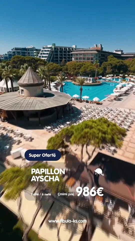 Papillon Ayscha, Belek