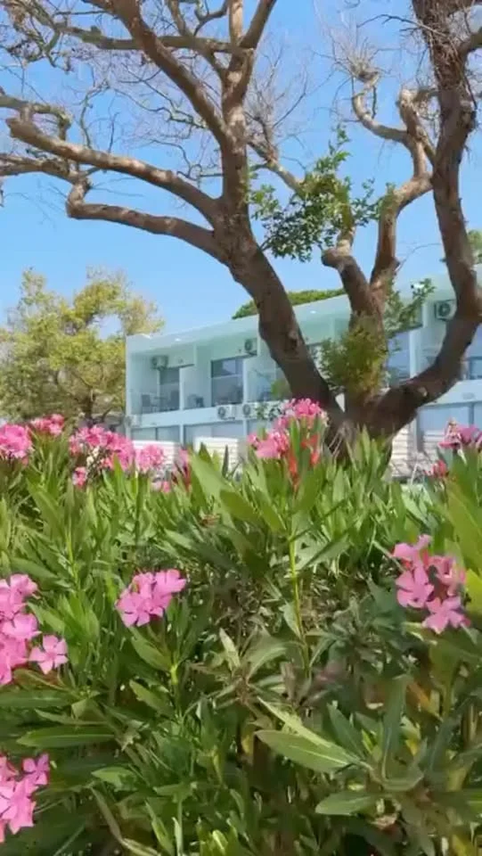 Ninos Grand Beach Hotel & Resort 4, Preveza — 27 Gusht