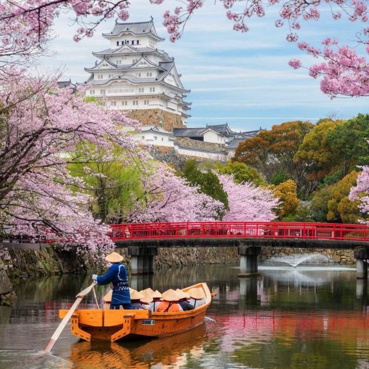 Tokio & Osaka, 8 ditë
