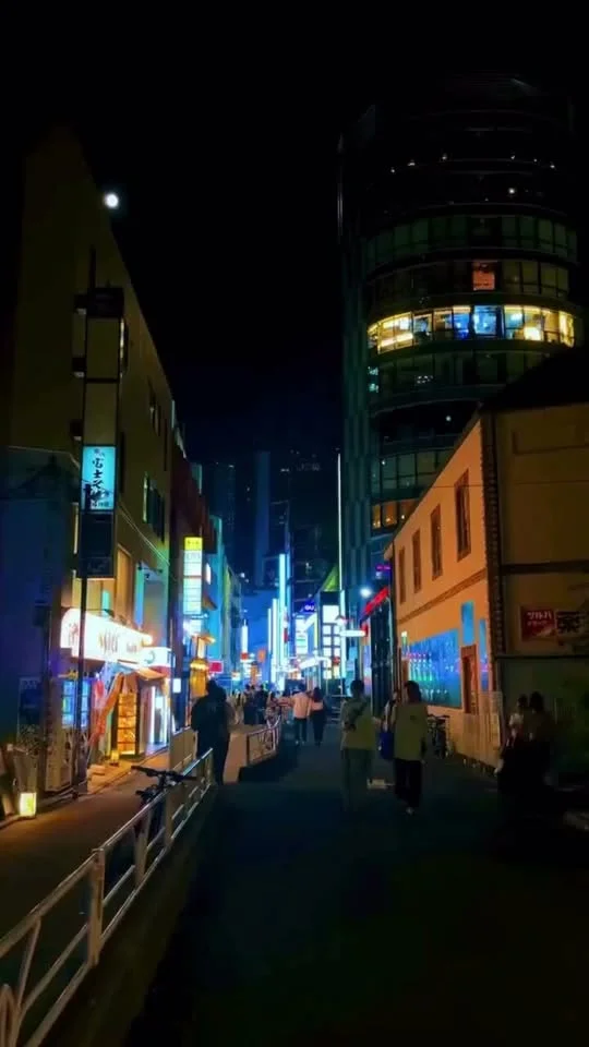 Japoni me guidë: Tokyo – Kyoto – Osaka